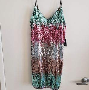 Express sequin dress